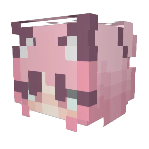 xmm9 Minecraft avatar head, 3D render