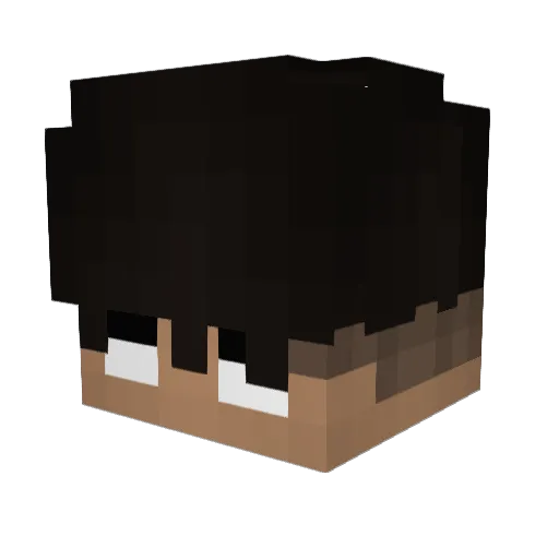 xnAero Minecraft avatar head, 3D render