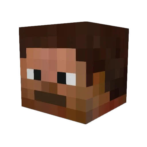 xnickg77 Minecraft avatar head, 3D render