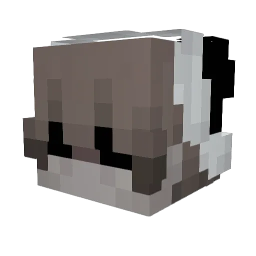 xnisterq Minecraft avatar head, 3D render