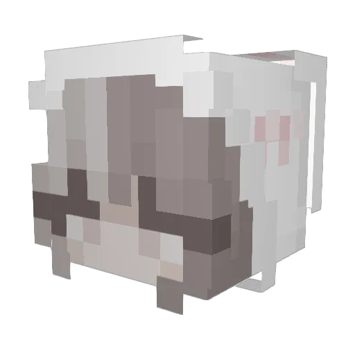 xnitox Minecraft avatar head, 3D render