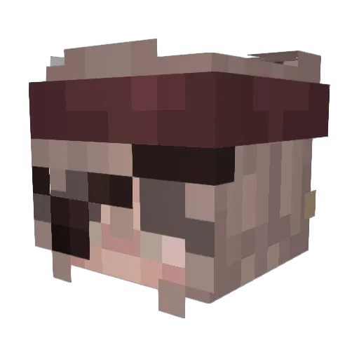xnnx2 Minecraft avatar head, 3D render