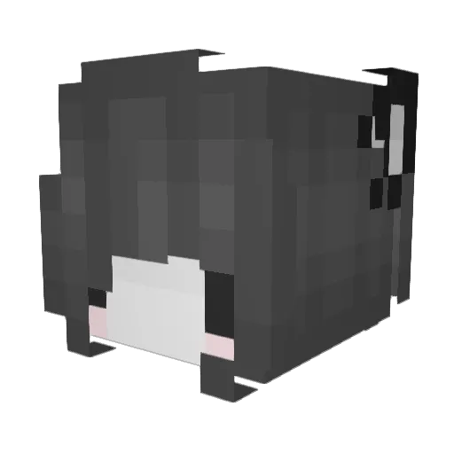 xnpc20 Minecraft avatar head, 3D render