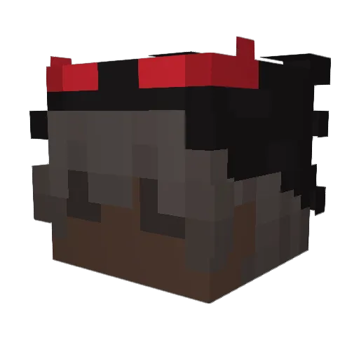xnsleeping_ Minecraft avatar head, 3D render