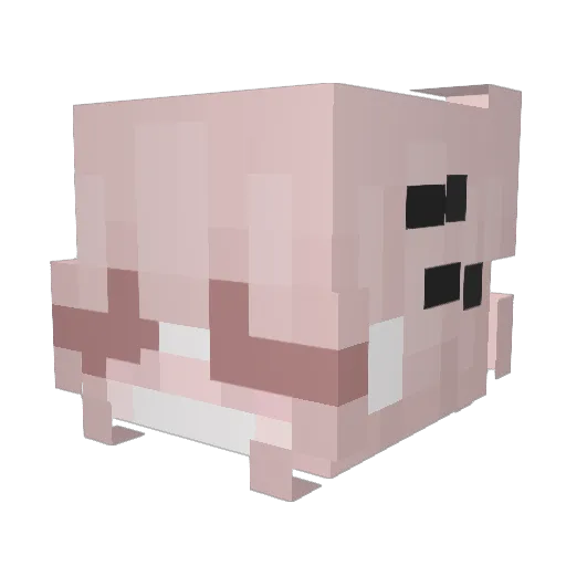 xo0zxe Minecraft avatar head, 3D render