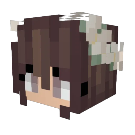 xoBanItsOl Minecraft avatar head, 3D render