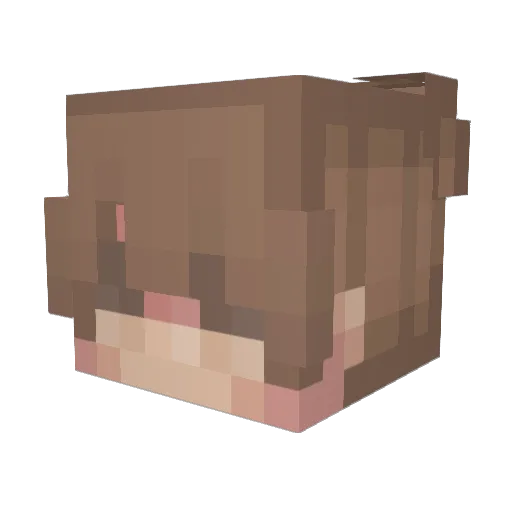 xoLiam76 Minecraft avatar head, 3D render