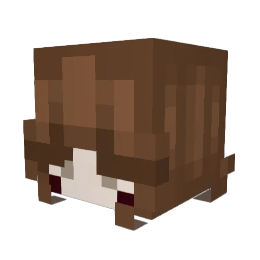 xoLunarFlare Minecraft avatar head, 3D render