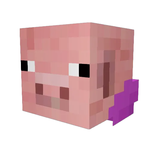 xoNOAHox Minecraft avatar head, 3D render