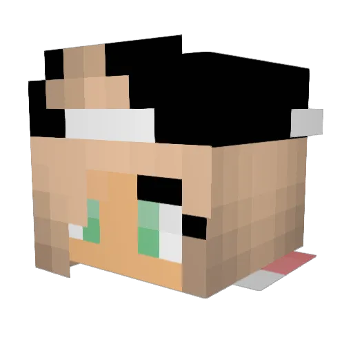 xo_catty_ox Minecraft avatar head, 3D render