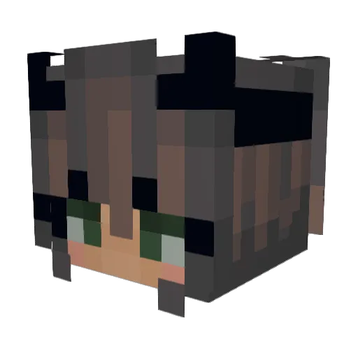 xo_oceans Minecraft avatar head, 3D render
