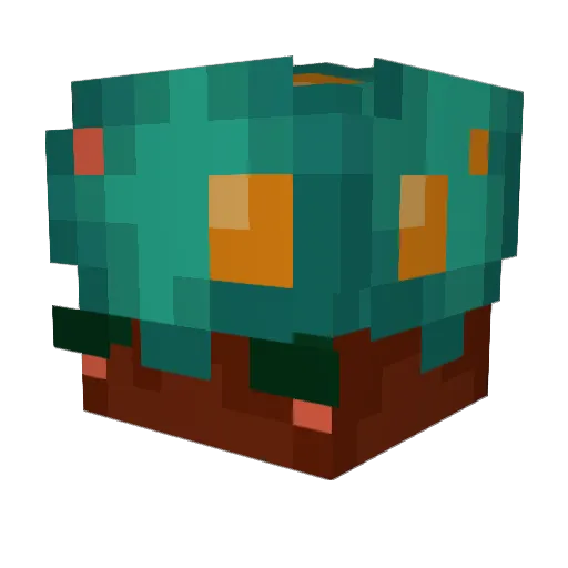 xoa14 Minecraft avatar head, 3D render