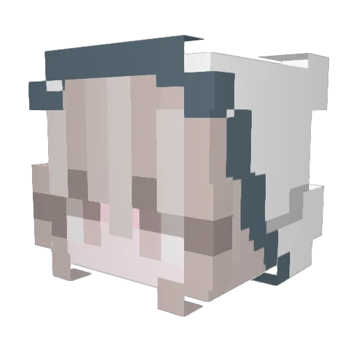 xoaquafina Minecraft avatar head, 3D render