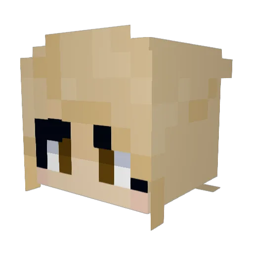 xoarianna Minecraft avatar head, 3D render