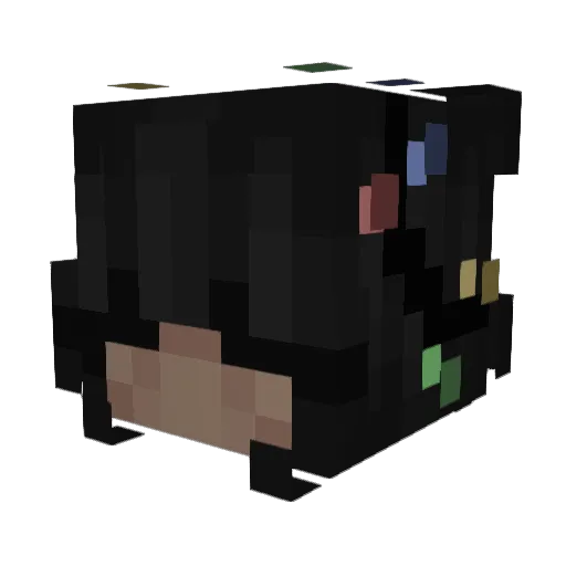 xobiscotti Minecraft avatar head, 3D render