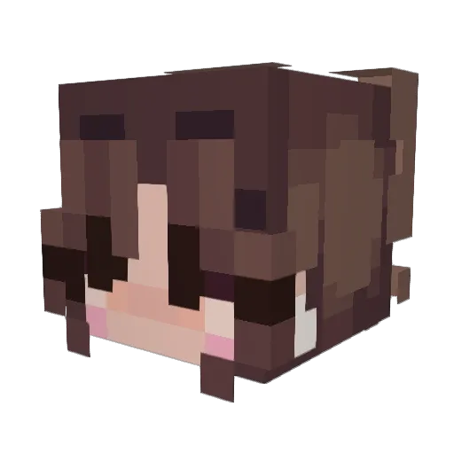 xokenz Minecraft avatar head, 3D render