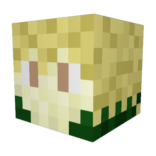 xon353 Minecraft avatar head, 3D render