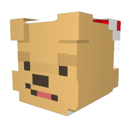 xoner671 Minecraft avatar head, 3D render