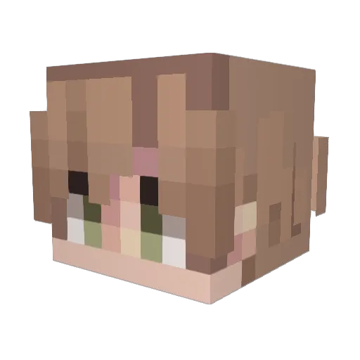 xonius_yf Minecraft avatar head, 3D render