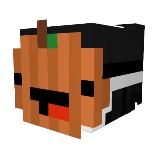 xoonax Minecraft avatar head, 3D render