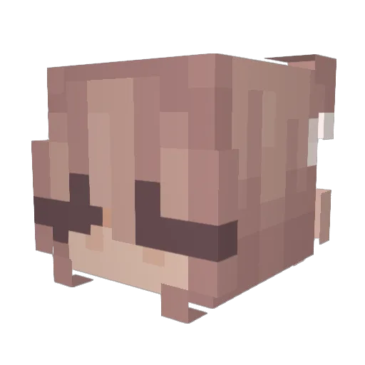 xoonayaa Minecraft avatar head, 3D render