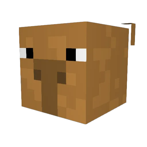xooooooooooooo Minecraft avatar head, 3D render