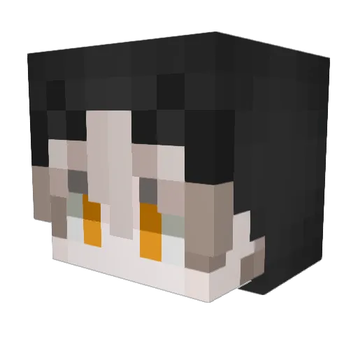 xopdg Minecraft avatar head, 3D render