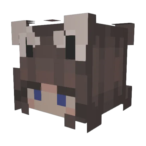 xoquinn Minecraft avatar head, 3D render