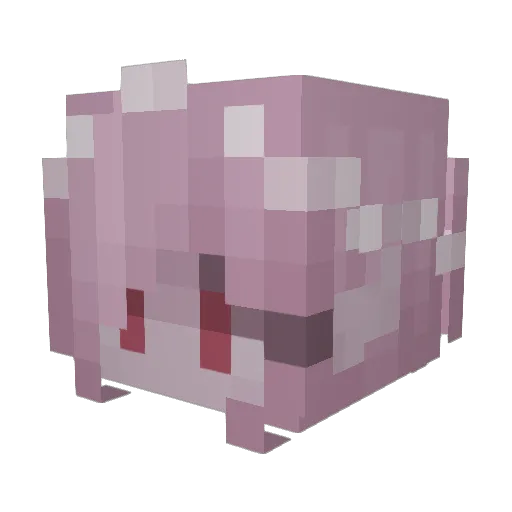 xowee Minecraft avatar head, 3D render