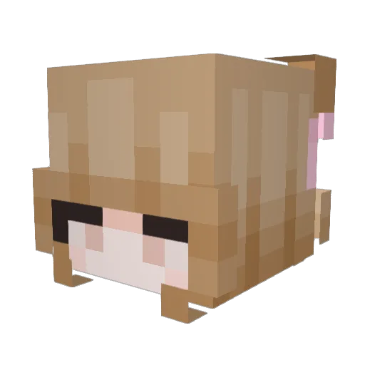 xoxoDiego Minecraft avatar head, 3D render