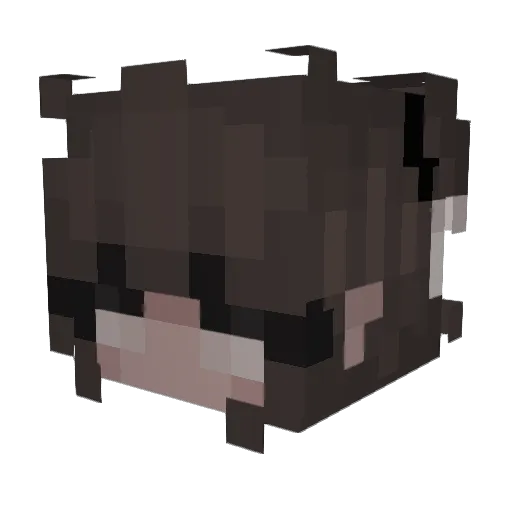xoxoanne Minecraft avatar head, 3D render