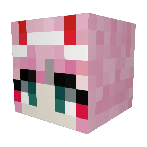 xoxoclan Minecraft avatar head, 3D render