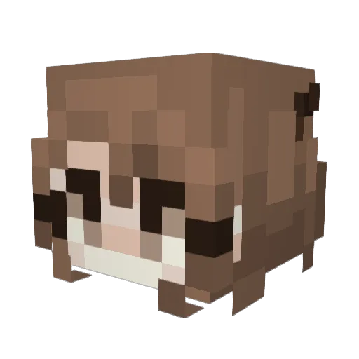xoxokova Minecraft avatar head, 3D render