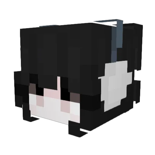 xoxoxoxoxox Minecraft avatar head, 3D render
