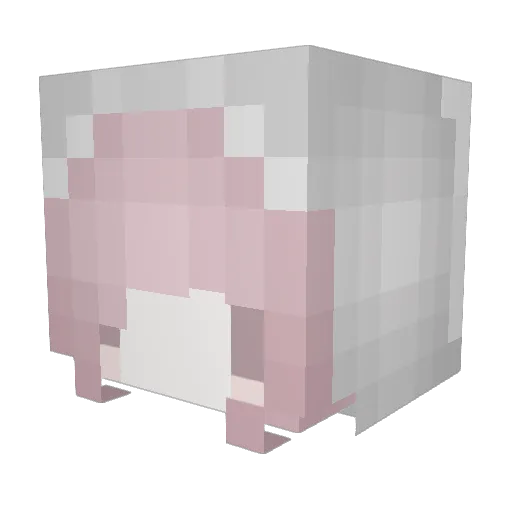 xoxoxoxxo Minecraft avatar head, 3D render