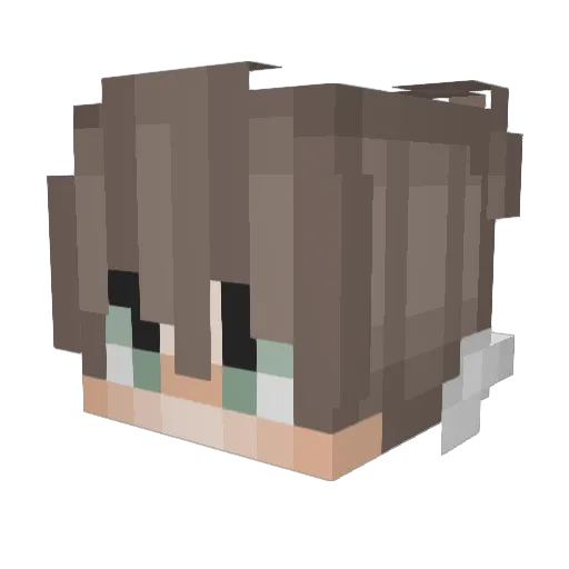 xoxxox3333 Minecraft avatar head, 3D render