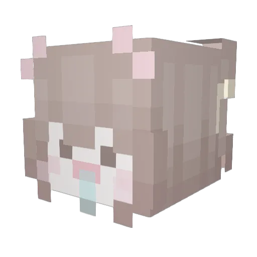 xoxxsx Minecraft avatar head, 3D render