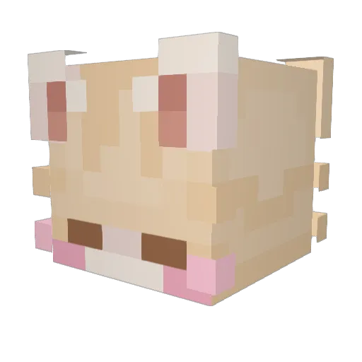 xoyleo Minecraft avatar head, 3D render