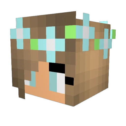 xpandabeer Minecraft avatar head, 3D render