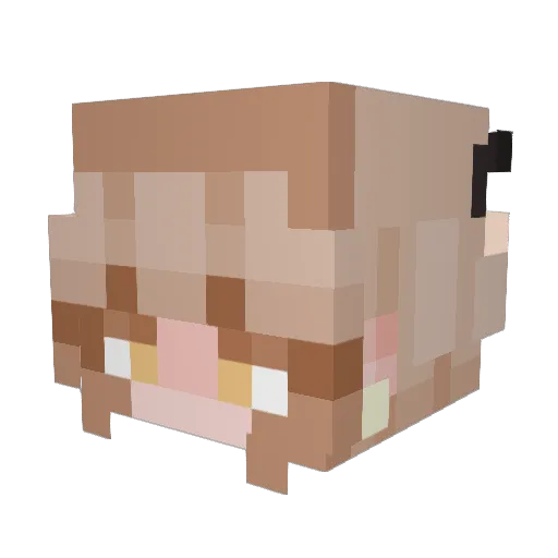 xpandagirly Minecraft avatar head, 3D render