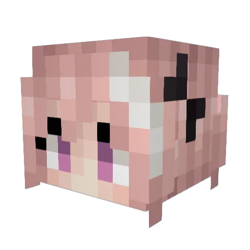 xpcracky Minecraft avatar head, 3D render