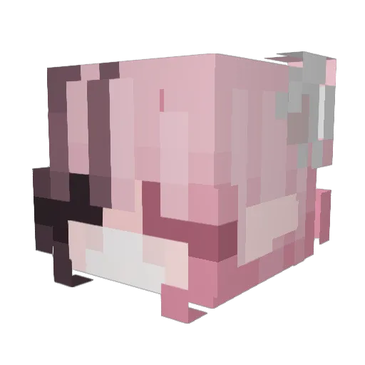 xpixii Minecraft avatar head, 3D render