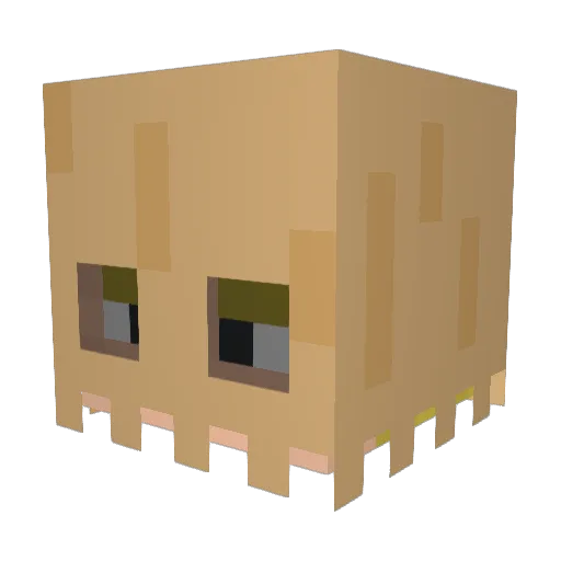 xplayer21 Minecraft avatar head, 3D render