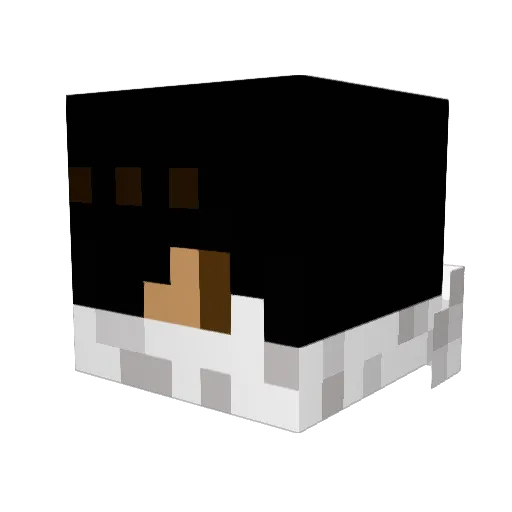 xplicitsoundz Minecraft avatar head, 3D render