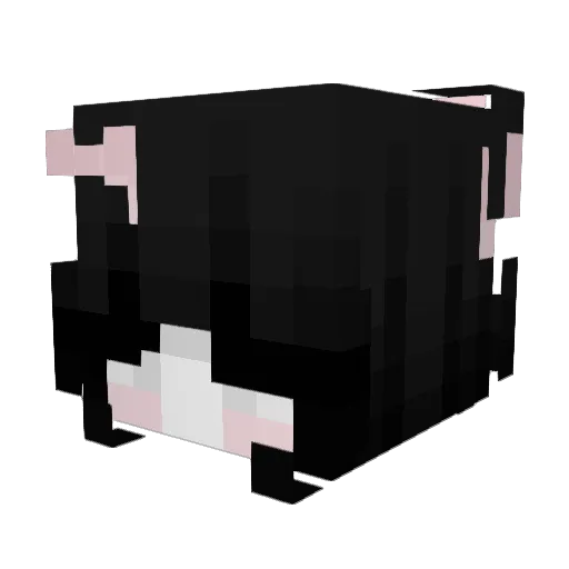xpp_BugT7_0819 Minecraft avatar head, 3D render