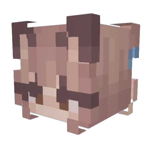 xpp_Gkv2c_0908 Minecraft avatar head, 3D render
