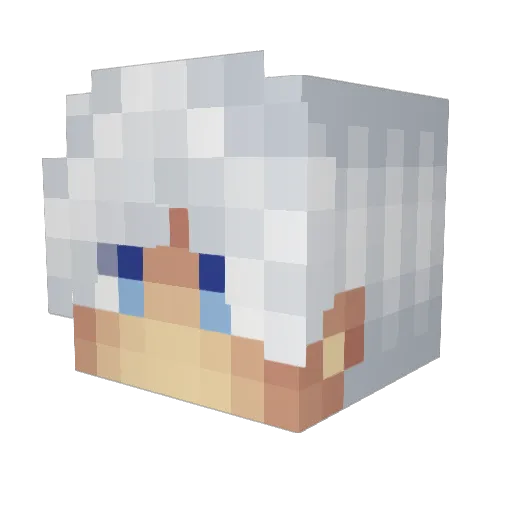 xpropatriax Minecraft avatar head, 3D render