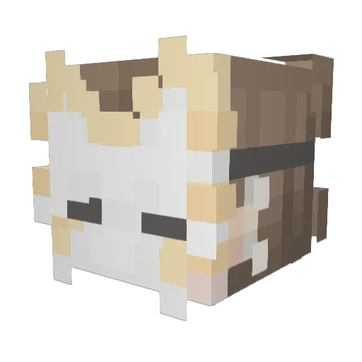 xpsych0pathx Minecraft avatar head, 3D render