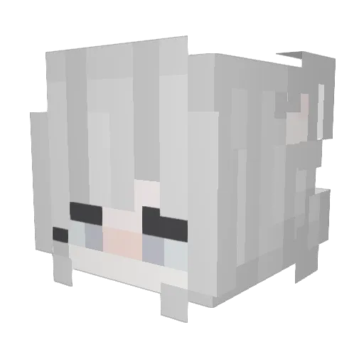 xqwxx2 Minecraft avatar head, 3D render