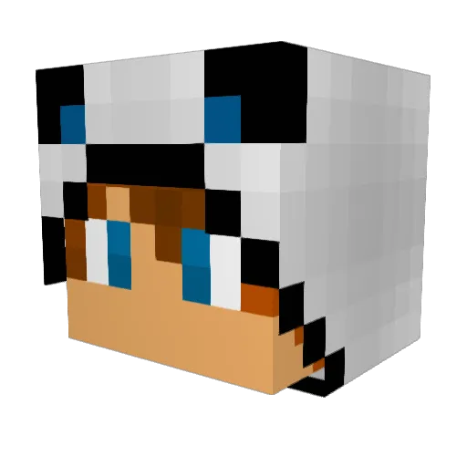 xrail95 Minecraft avatar head, 3D render
